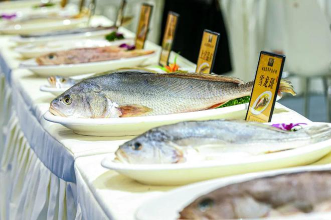 重磅活动即将来袭2024全球海鲜贸易节6月20日在广州邀您参加(图16) 重磅活动即将来袭2024全球海鲜贸易节6月20日在广州邀您参加(图16)