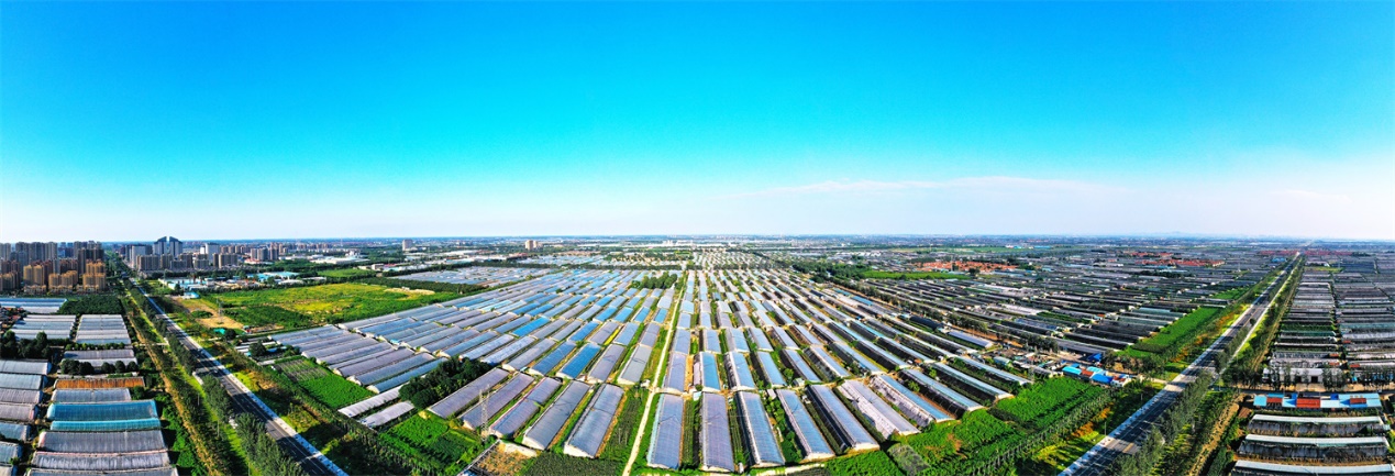 展望未来2024中国(潍坊)国际农业机械博览会引领农业装备新风尚(图3) 展望未来2024中国(潍坊)国际农业机械博览会引领农业装备新风尚(图3)
