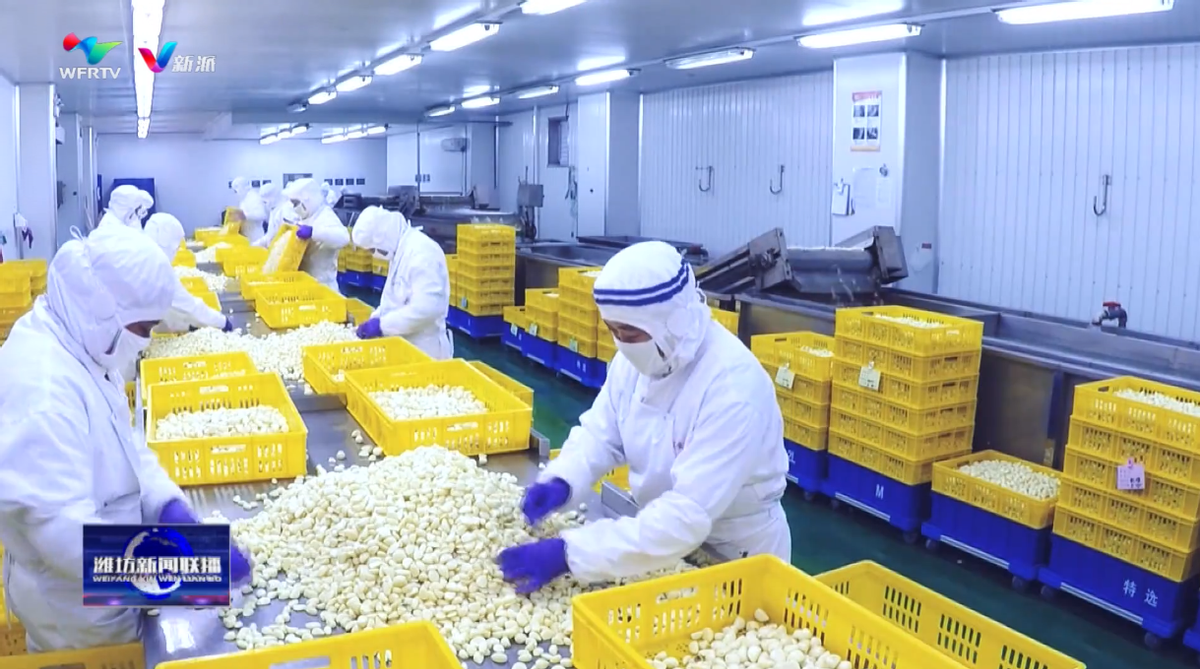 【潍坊迎新年再出发】“好品山东•鲁贸全球”2024潍坊国际精准采购节走进安丘(图4)