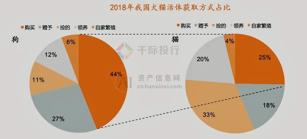 2024年中国宠物行业研究报告(图7)