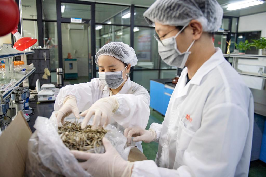 新华全媒+丨贸易规模有突破 促稳提质有支撑——透视我国外贸进出口半年报(图2)