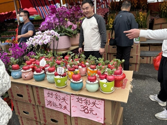 旺丁又旺财！2024年传统迎春花市迎客632万人次 销售额增长逾五成(图2)